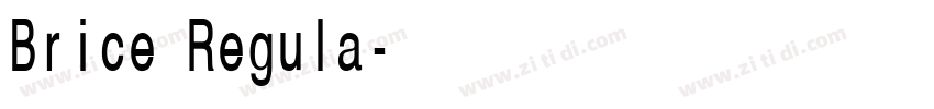 Brice Regula字体转换 Brice Regula字体转换